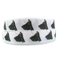 Space Adventures Grosgrain Ribbon 1043721
