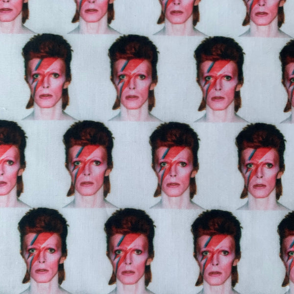 Bowie Polycotton Fabric