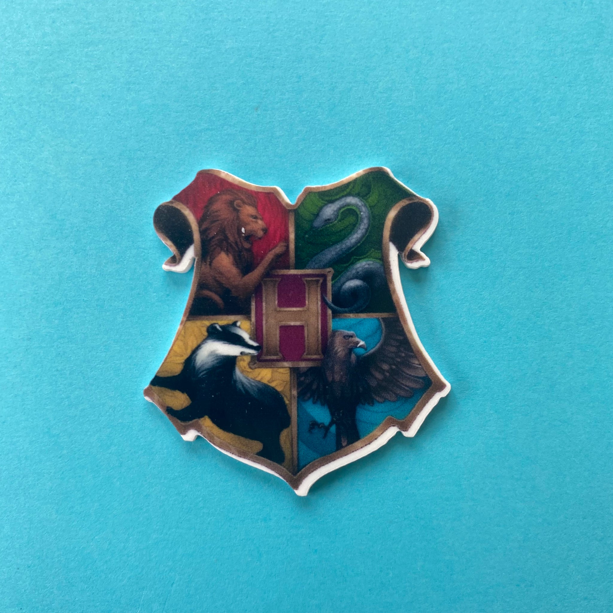 Hogwarts Flat Back